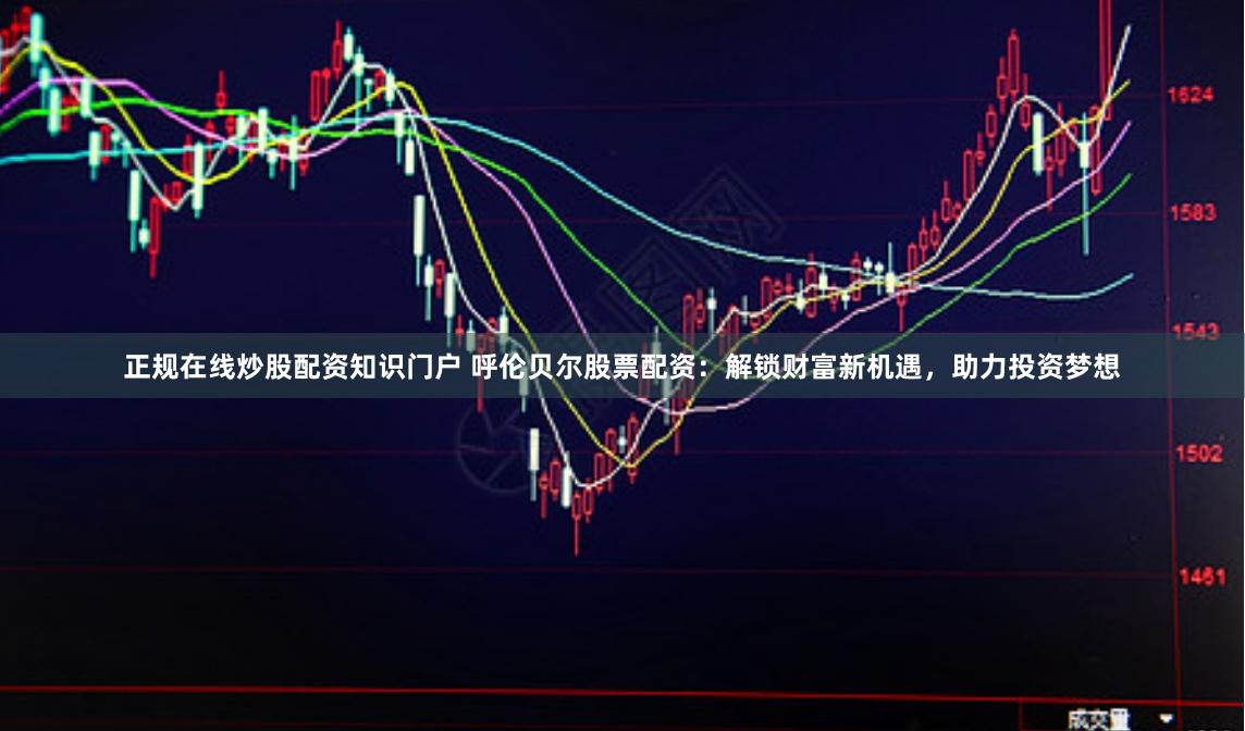 正规在线炒股配资知识门户 呼伦贝尔股票配资：解锁财富新机遇，助力投资梦想