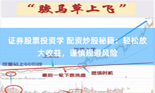 证券股票投资学 配资炒股秘籍：轻松放大收益，谨慎规避风险
