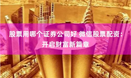 股票用哪个证券公司好 微信股票配资:开启财富新篇章