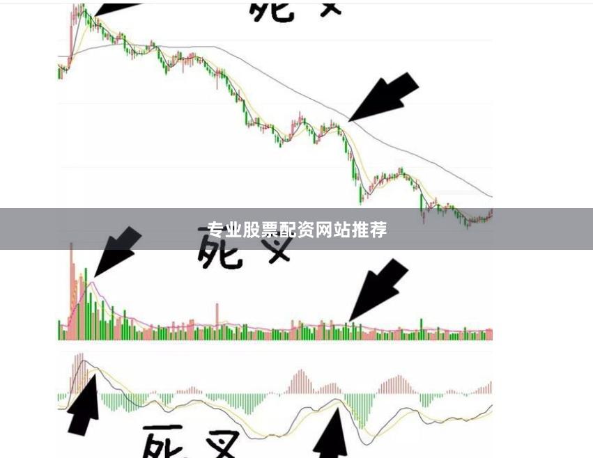 专业股票配资网站推荐