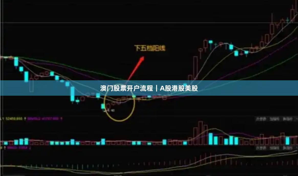 澳门股票开户流程｜A股港股美股
